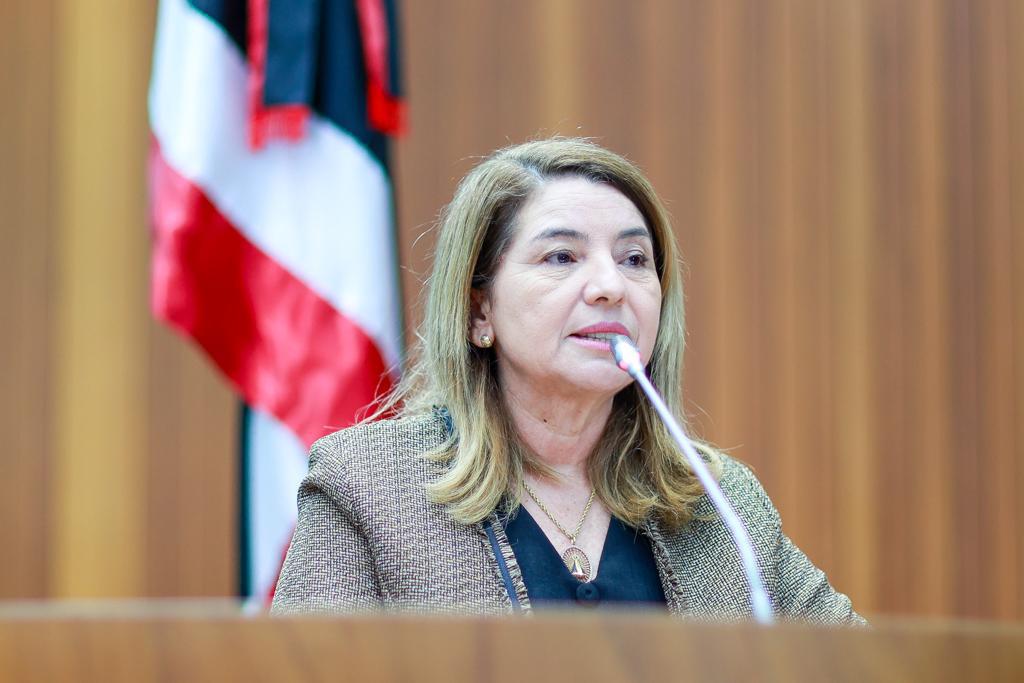 PL de Iracema Vale sobre preservação dos Lençóis Maranhenses será sancionado por Brandão nesta quinta PL de Iracema Vale sobre preservação dos Lençóis Maranhenses será sancionado por Brandão nesta quinta