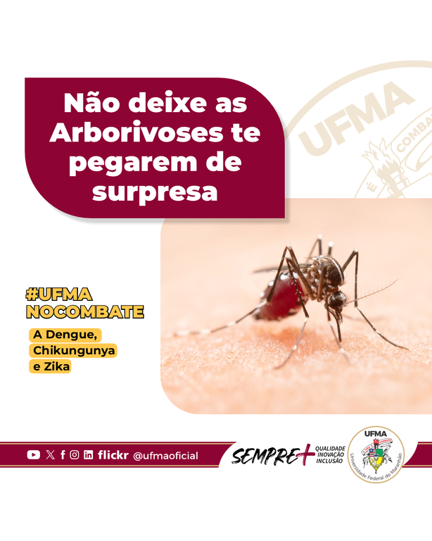 UFMA no combate à dengue: professora e médica infectologista explica os principais cuidados para prevenir doenças arbovirais