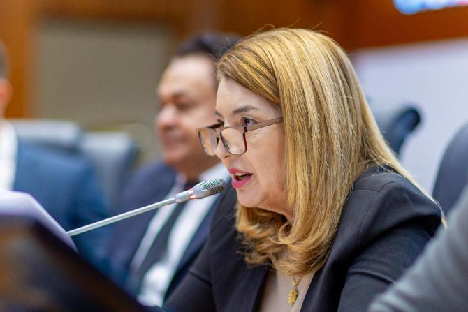 Aprovado PL de Iracema Vale que institui Semana de Conscientização e Incentivo à Amamentação no Maranhão Aprovado PL de Iracema Vale que institui Semana de Conscientização e Incentivo à Amamentação no Maranhão