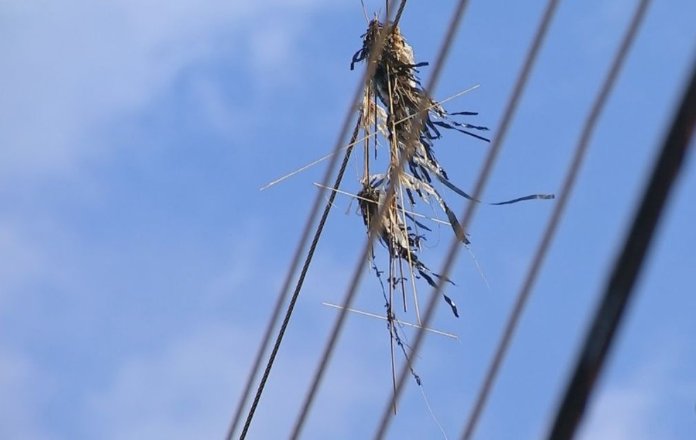 Alerta para a prevenção de acidentes com pipas na rede elétrica Alerta para a prevenção de acidentes com pipas na rede elétrica