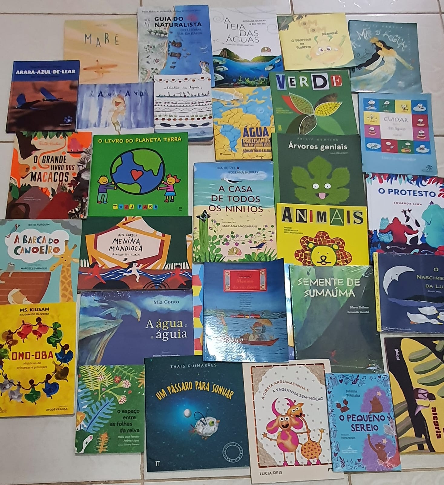 Nas férias, “A leitura e encantos da natureza” agita comunidades da zona rural de São Luís