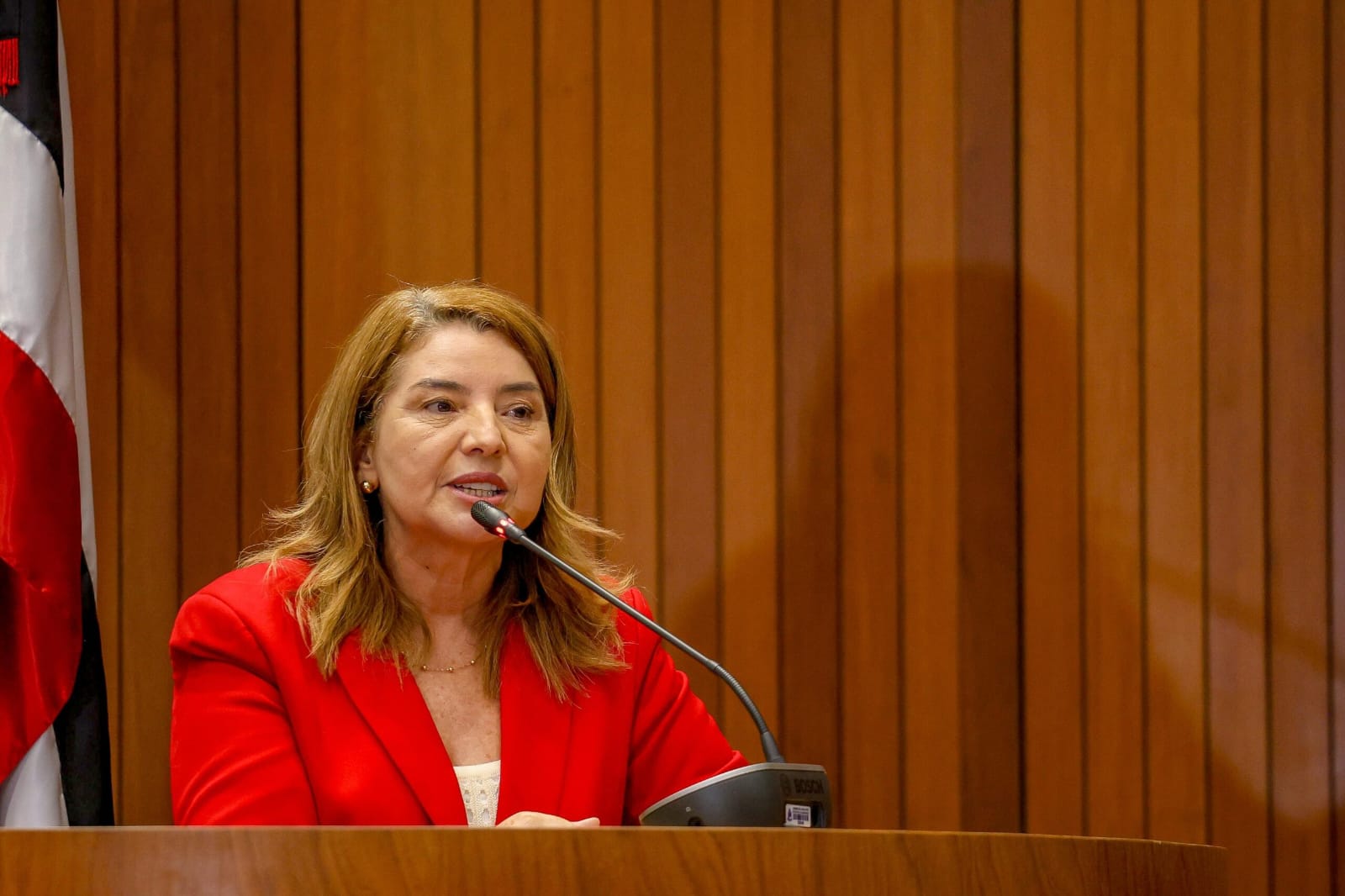 Assembleia aprova projetos de Iracema Vale para homenagear renomados médicos maranhenses